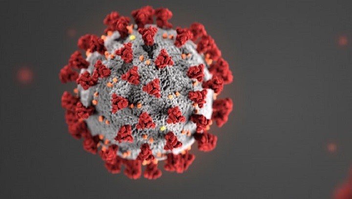 Supercomputer Models Coronavirus Vulnerabilities Signal Magazine