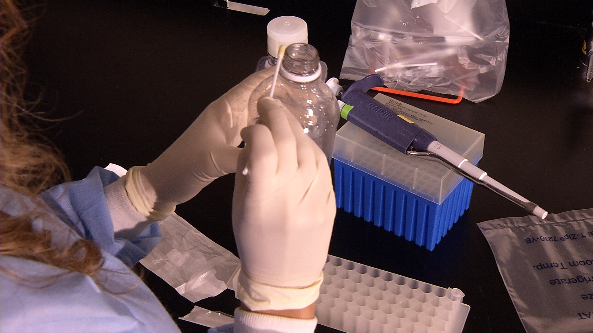 As Principais Ferramentas Empregadas Na Tecnologia Do Dna Recombinante