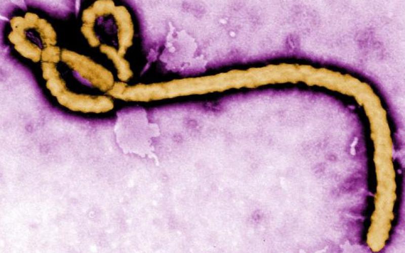 DARPA Pursuing AI to Accelerate Disease Cures