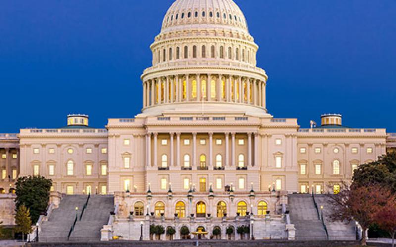 The U.S. House of Representatives, led by Democrats, passes its version of the annual defense spending authorization bill, which will have to be ironed out with the Republican-led Senate. Credit: Shutterstock/Turtix