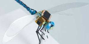 The various components of the so-called electronic backpack are designed to stimulate the dragonfly’s flight control neurons.