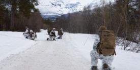 A U.S. Marine with Marine Rotational Force-Europe 20.2, Marine Forces Europe and Africa, and Norwegian soldiers pause for surveillance during Exercise Thunder Reindeer in Setermoen, Norway, in May 2020. USMC photo by Lance Cpl. Chase W. Drayer