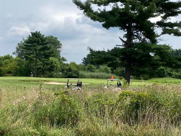 Players get their golf on during the 2024 tournament in July.