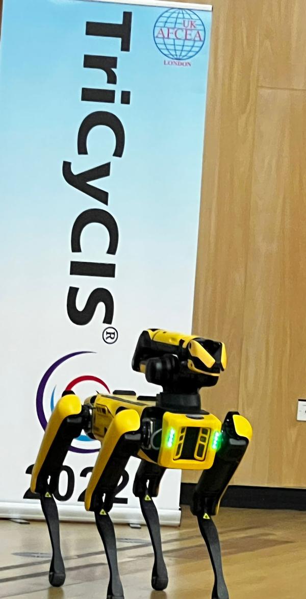 A robotic dog stands guard at TriCyCIS 2022 in June.