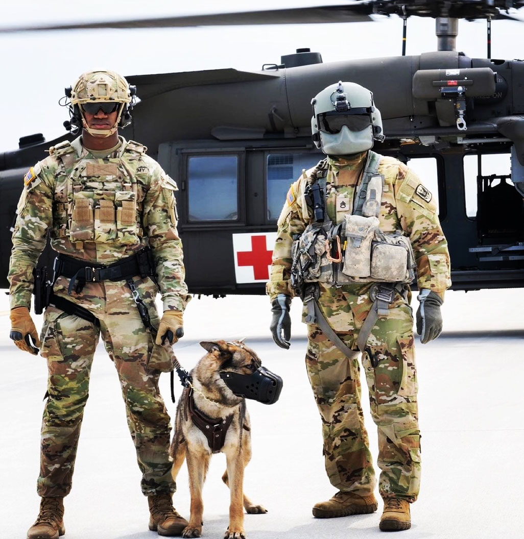 Military working dogs are essential to national security.