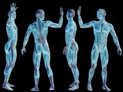 IARPA’s BRIAR program aims to integrate whole-body biometric data with facial recognition gathered via video from long distances, high altitudes and nontraditional angles. Credit: design36/Shutterstock