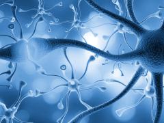 Researchers have made great progress in mapping and modeling neural pathways of brain activity, using fruit flies as a proxy, which may provide insights into the future creation of robotic actions. Credit: Billion Photos/Shutterstock