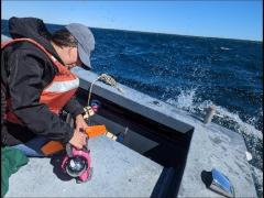 Check out Gabriella Loaiza fixing a micro unmanned underwater vehicle before launch during a Silent Swarm test event on Lake Huron in Michigan.
