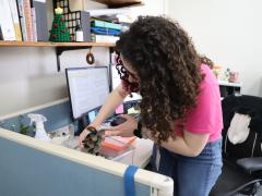 A microbiologist at a U.S. Army lab employs insect antennae to identify chemicals in an area. Credit: Sophia Espinosa, U.S. Army