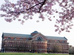 The National Defense University at Fort McNair, Washington, D.C. Credit: Rachel Larue