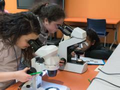 Participants of Latina SciGirls complete a hands-on activity at the Children's Science Center. Credit: Children's Science Center