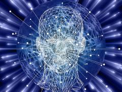 Principles for artificial intelligence stewardship will give agencies a clear framework for promoting safe, ethical AI development in the private sector. Credit: Gerd Altmann/Pixabay