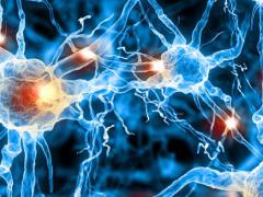 This illustration shows perceived activity in the brain, which DARPA scientists are studying to develop treatments for several ailments, including neuropsychological illness brought on by war, traumatic injuries, major depression, post-traumatic stress disorder, borderline personality disorder and general anxiety disorder, to name a few./ Photo courtesy of DARPA