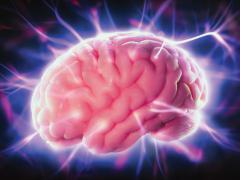 The Defense Advanced Research Projects Agency’s Next-Generation Nonsurgical Neurotechnology (N3) program is developing technology that improves the ability to control machines using only the brain—without surgical implants. Credit: Fer Gregory, Shutterstock