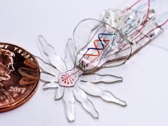 A new fabrication process enables the creation of soft robots at the millimeter scale with features on the micrometer scale as shown here with the example of a soft robotic spider with moving body parts and colored eyes and abdomens. Credit: Wyss Institute at Harvard University