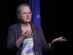 Cindy Moran, former director for network services at DISA, talks about network performance and security at TechNet Asia-Pacific. Photo by Bob Goodwin