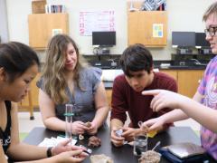 Boerne-Samuel V. Champion High School students (l-r) Gifford, Salas, Medina and Sara Owen conduct a lab on sedimentary rocks using new supplies purchased with a grant funded by the Alamo Chapter.