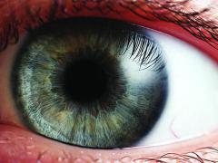 Increased use of iris recognition has spawned a host of deceptive countermeasures. A new technique promises to detect these masking efforts. (Photo: Petr Novak, Wikipedia)