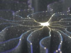 The U.S. Naval Research Laboratory’s (NRL’s) work on adjusting how artificial neural networks learn aims to improve the manipulation capabilities of robots. ktsdesign/Shutterstock