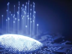 Many experts think the future of identity verification is a single authentication that applies across all disciplines of verification. Credit: ktsdesign/Shutterstock