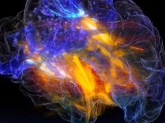 Image courtesy of the National Science Foundation
