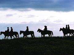 Border patrol personnel use horses to navigate remote terrain.