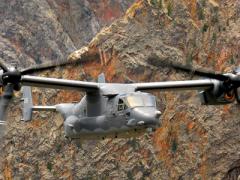 The U.S. Navy program executive office that supports the V-22 and myriad other aircraft is learning to cope with the cyber vulnerabilities of its networked platforms.