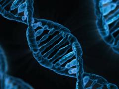Researchers have developed a technique for encoding text within synthetic DNA that they say would take an infinite number of random, brute-force attacks to break.