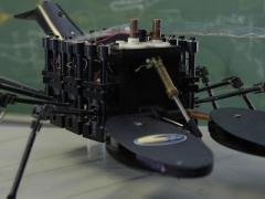 Robolobster, developed at Northeastern University’s Marine Science Center in Nahant, Massachusetts, mimics the movement of a lobster. With cognitive computing advances, computers and robotic systems will mimic the brain-processing power of animals and humans, allowing them to learn from, and adapt to, changing conditions.