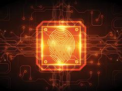 Some fingerprint authentication systems, such as those on mobile devices, use only a partial print that is not as unique as an entire print and leaves the technology vulnerable to a synthetic fingerprint hack. Shutterstock