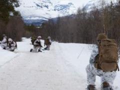 A U.S. Marine with Marine Rotational Force-Europe 20.2, Marine Forces Europe and Africa, and Norwegian soldiers pause for surveillance during Exercise Thunder Reindeer in Setermoen, Norway, in May 2020.  USMC photo by Lance Cpl. Chase W. Drayer