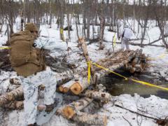 U.S. Marines participating in the Thunder Reindeer exercise in Setermoen, Norway in late May practice their cold weather survival skills while living in the Arctic. Credit: USMC photo by Lance Cpl. Chase Drayer