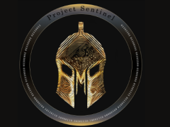Photo Courtesy Adam Simmons, U.S. Army Network Enterprise Technology Command. The logo for the U.S. Army’s Project Sentinel depicts the letters RMF in the helmet to represent the service’s mission to realize its Risk Management Framework. Within the circle around the helmet in the logo, designed by Simmons, is the binary code for “better than before.”