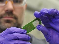 An Air Force Research Laboratory researcher holds up a sweat sensor prototype. The lab’s 711th Human Performance Wing and the University of Cincinnati conducted human trials for wearable sweat sensors that could measure biomarkers and alert users to physical exhaustion, stress or possible illness.