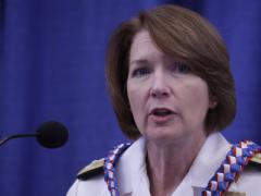 Vice Adm. Nancy Norton, USN, director, DISA, and commander, JFHQ-DODIN, describes cybersecurity challenges at a TechNet Asia-Pacific panel.
