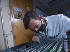 Sandia National Laboratories researcher J. Darby Smith examines computer boards containing artificial neurons Intel Corp designed. (Photo by Regina Valenzuela)