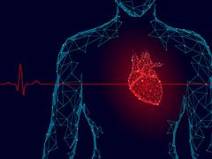 Sandia National Laboratories is pursuing a heartbeat-based technology for a security application. Credit: Shutterstock/LuckyStep