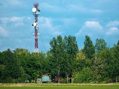 A communications tower for military 5G rises above a forest. Several challenges loom as the U.S. Defense Department strives to implement 5G into the force. Credit: M.Moira/Shutterstock