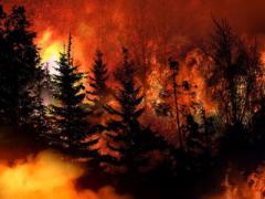 Developed for the Defense Innovation Unit, the xBD data set combines advanced algorithms and satellite imagery to help assess the damage from catastrophes, including from California wildfires.  Credit: Shutterstock/stockpexel