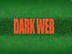 Characteristics of cyber actors give clues as to who poses a credible threat, experts say. Credit: Shutterstock/BABAROGA