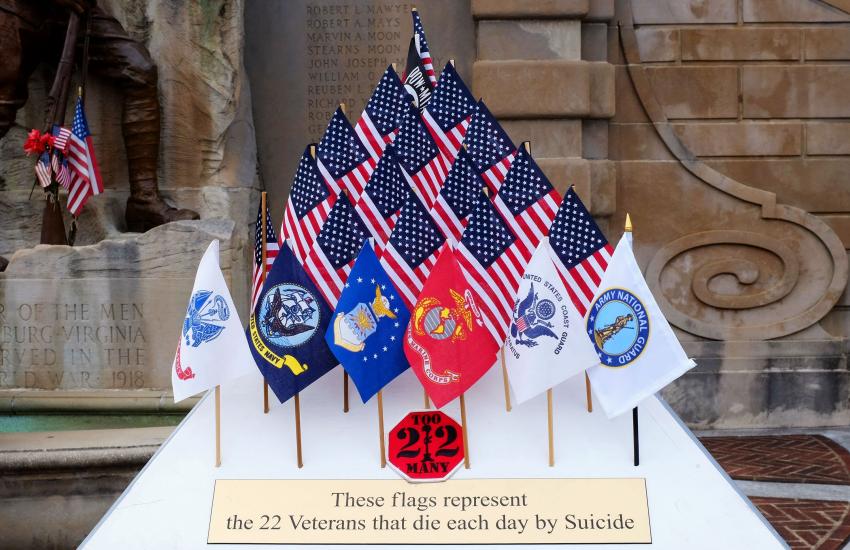 Lynchburg, Virginia’s Monument Terrace is a reminder of the losses to the nation in 2019. Credit: The Old Major/Shutterstock