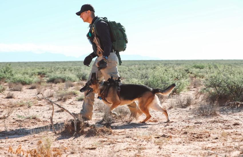 Handler tests Halo Lights technology to ensure it effectively monitors canine health. Courtesy photo from Halo Lights LLC