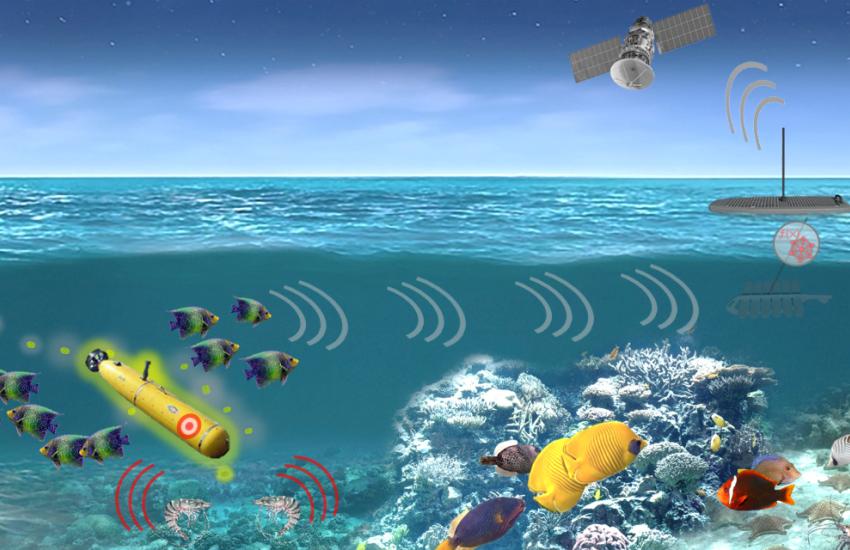The Defense Advanced Research Projects Agency (DARPA) and the U.S. Navy are working together on warning system technologies that monitor goliath grouper and other marine species that might respond to threats such as manned or unmanned underwater vehicles. Credit: DARPA