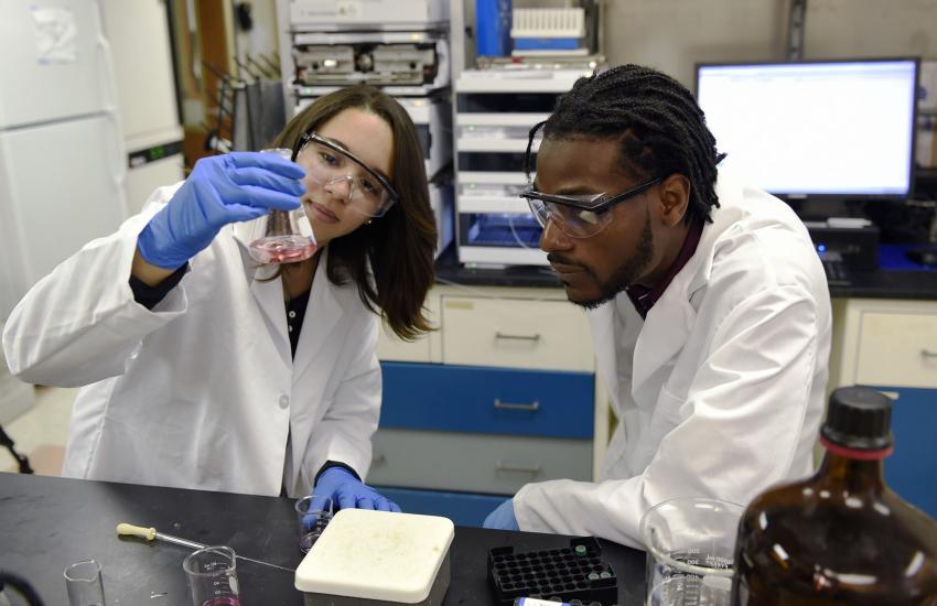 Naomi Delgado Cruz, senior at the Polytechnic University of Puerto Rico, and Derick Buckles, from Morgan State University, participate in a research program at the USNRL. Credit: John Williams, U.S. Navy
