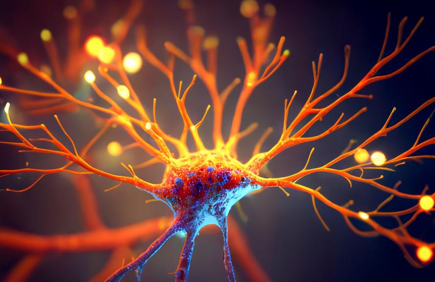 Brain cells, neural networks and all types of biological organs process data. Research may eventually allow the harnessing of that data for an array of uses. The National Science Foundation is investing in multiple projects to advance the research. Credit: Kateryna Kon/Shutterstock