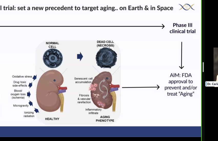 Carina Kern, CEO of LinkGevity, explains Anti-Necrotics and their ability to inhibit necrosis. Credit: Zoom Webinar