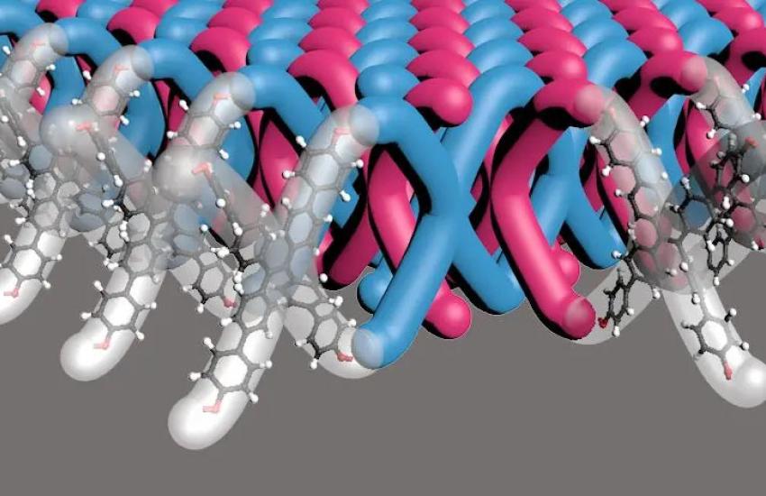 A Northwestern University-led research team has developed the first two-dimensional mechanically interlocked material. With 100 trillion mechanical bonds per 1 square centimeter, the new material contains the highest density of mechanical bonds ever achieved. Credit: Mark Seniw, Center for Regenerative Nanomedicine, Northwestern University