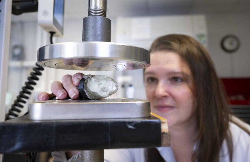 NRL scientist Margo Staruch, Ph.D., working with VCU, has developed the first anatomically accurate rat brain phantom capable of measuring traumatic brain injury (TBI) impacts in real time. Credit: U.S. Navy Photo by Sarah Peterson
