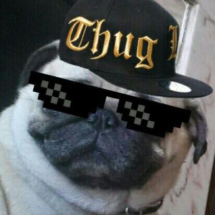 Busta Pug