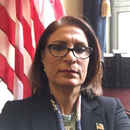 Afsaneh Rabiei